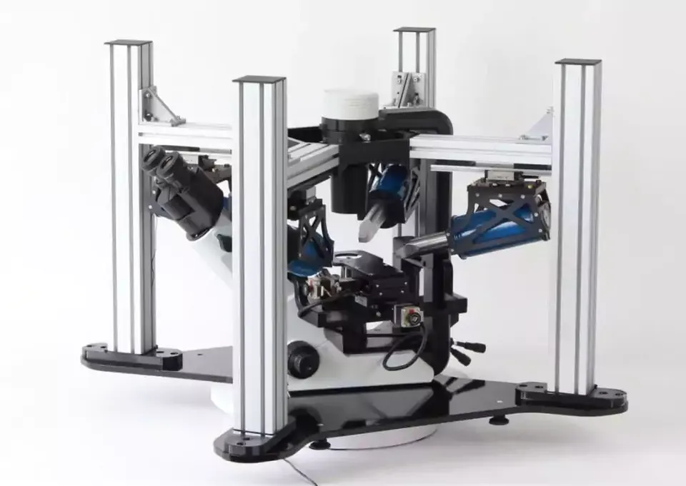 Microscopia de organismos e compostos magnéticos